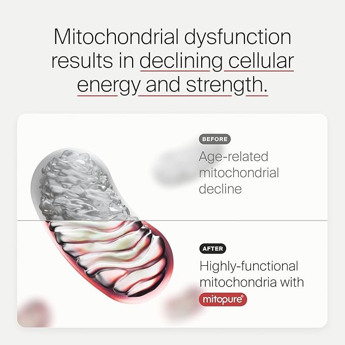 Mitopure Softgels