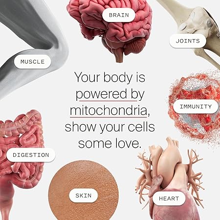 Mitopure Powder